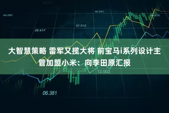 大智慧策略 雷军又揽大将 前宝马i系列设计主管加盟小米：向李田原汇报
