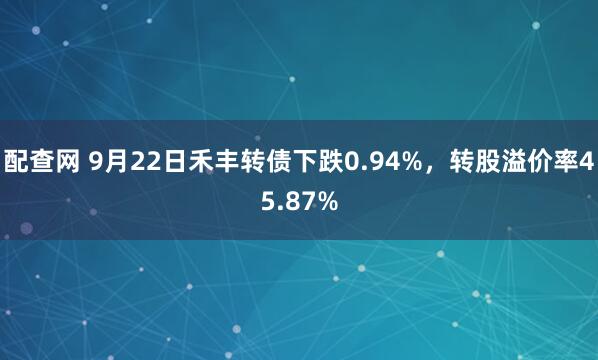 配查网 9月22日禾丰转债下跌0.94%，转股溢价率45.87%