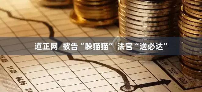 道正网  被告“躲猫猫” 法官“送必达”
