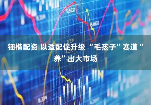 钿楷配资 以适配促升级 “毛孩子”赛道“养”出大市场