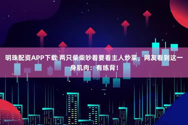 明珠配资APP下载 两只柴柴吵着要看主人炒菜，网友看到这一身肌肉：有练背！