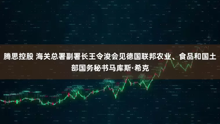 腾思控股 海关总署副署长王令浚会见德国联邦农业、食品和国土部国务秘书马库斯·希克